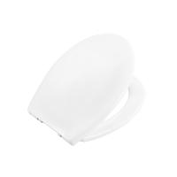 Крышка-сиденье BelBagno Сидения и комплектующие BB2020-1SC