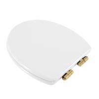 Крышка-сиденье CEZARES PRIMO CZR-T-166M-S-G