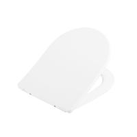 Крышка-сиденье BelBagno Сидения и комплектующие BB2031SC