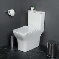 Унитаз-моноблок с сиденьем BelBagno NEON BB8617CPR-MN/SC