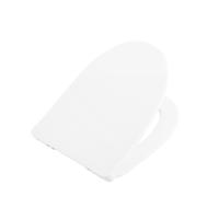 Крышка-сиденье BelBagno Сидения и комплектующие BB2177SC