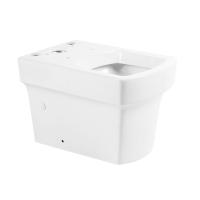 Чаша напольного унитаза BelBagno MATTINO BB1060CPR