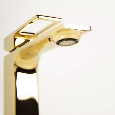 LUC-LVM-ORO_DETAIL_2