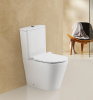 Унитаз-компакт безободковый BelBagno FLAY-R BB2149CPR