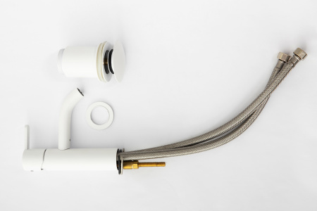 LEAF-LSM2-BIO_DETAIL_2