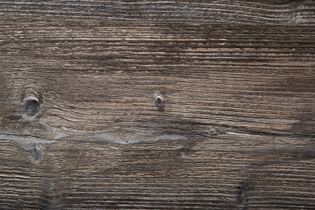 Pino Pasadena_DETAIL